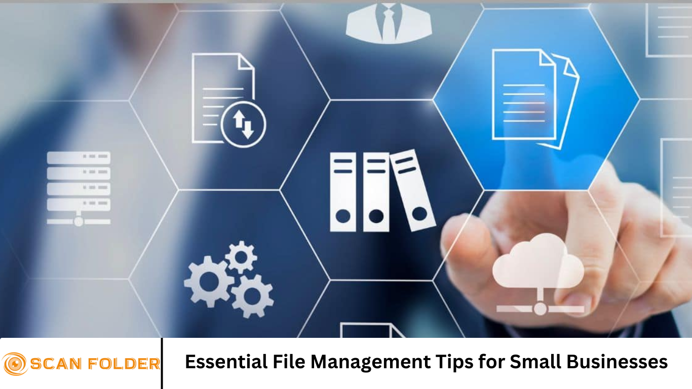 Essential File Management Tips for Small Businesses