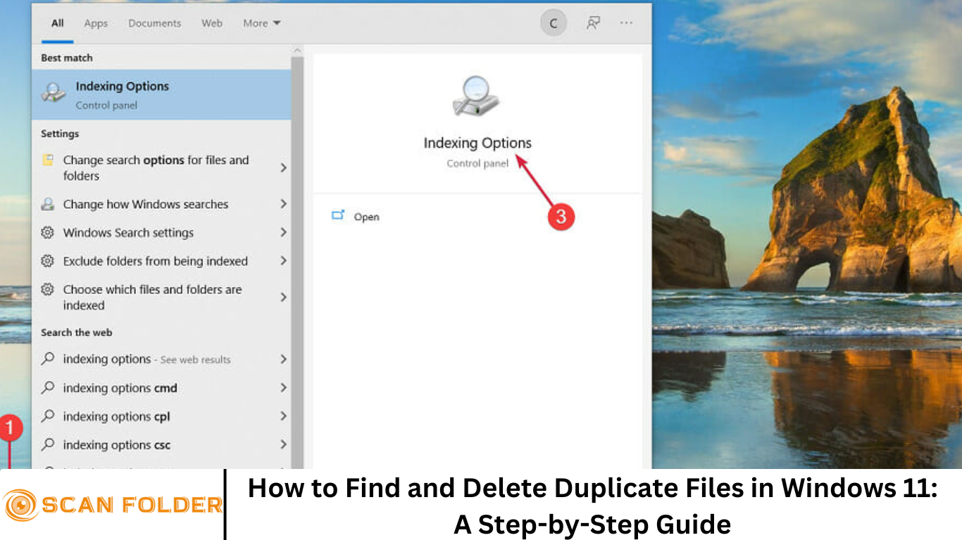 How to Find and Delete Duplicate Files in Windows 11: A Step-by-Step Guide